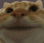 Were cat Gods