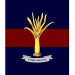 Prince Of Wales' Company, Welsh Guards