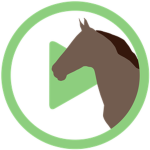 Horseplay