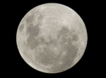 Moonlight Court ( SG )