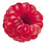Raspberries!