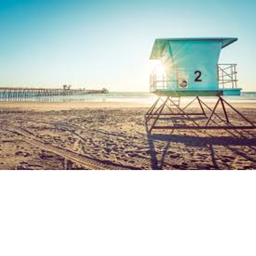 The Beach