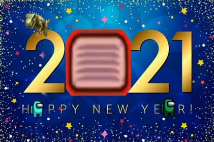 NEW YEAR (2020 - 2021)
