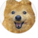 Chicken Nuggy gaming group