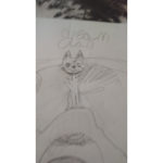 Warrior cats community