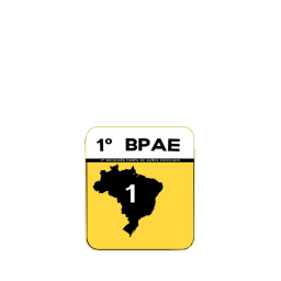 1° BPAE ( 1° Batalhão Pampa de Ações Especiais )