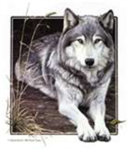 wolf clan (be come a wolf trooper)
