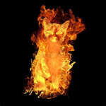 Death cats army