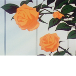 peachy.y