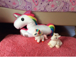 Unicorn wonderland
