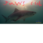 Killer shark club that jaws
