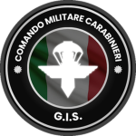 CMC • G.I.S