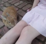 pupwei Group Thumbnail