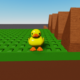 Duck runner