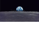 The Lunar Family ( Blox Rp )