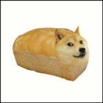 Pan Doge Grupo oficial