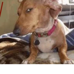 Acey :|