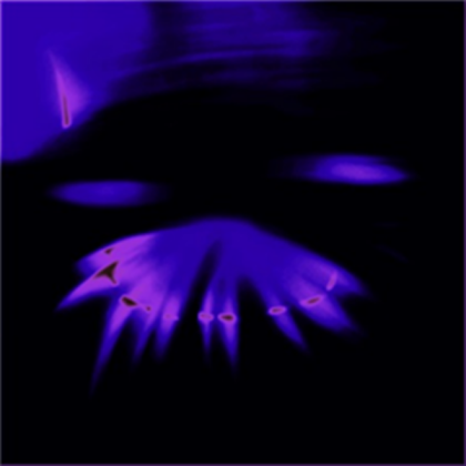 texture Roblox decal