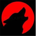 The shadow wolf empire.