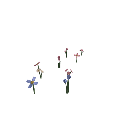 PINK FLOWERS UPDATED 2026