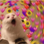 Lindas(o) da Evelyn