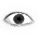 TheAlwaysWatchingCreatures