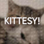 kittesy
