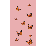 * The Butterflies*