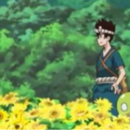 🌻