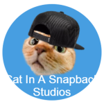 Cat In A Snapback Studios