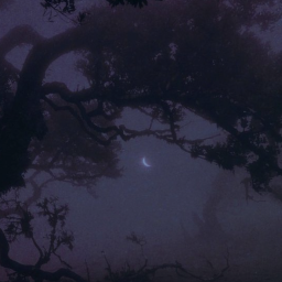 🧛🦇萬聖節🍬🎃
