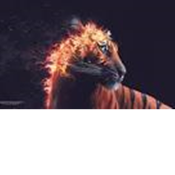 [HALLOWEEN UPDATE] RACE YOUR FRIENDS[ALPHA!]