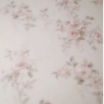7’z *:･ﾟ
