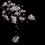 Blossom5