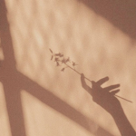 ~.lost.~