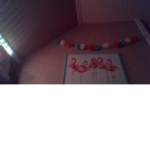 Wolfie_Cat45673