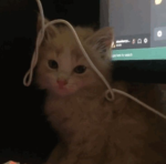 vrky