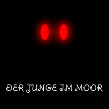 Der Junge im Moor