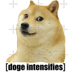 DOGE ARMY boiiiiiis