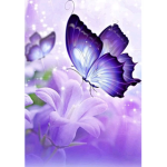 Supper butterfly