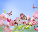 .*~The Nature Group~*.