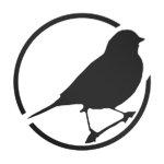 Sparrow Flight Studio