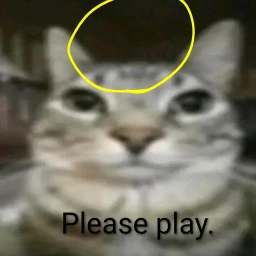 kitten cards  icon