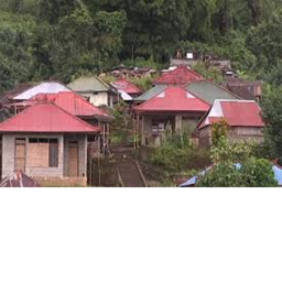 Castle village