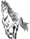 ~Oakwood Eventing~