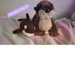 Orca Otter Army