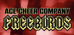 ACES CHEERTEAM