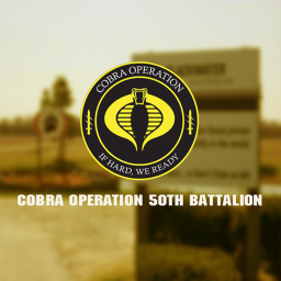 ☠OPERATION☠ Arrowhead International