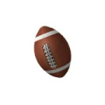 The Roblox Football League [RFL]