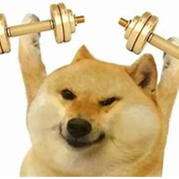 *Doge's United* Recruitment Center